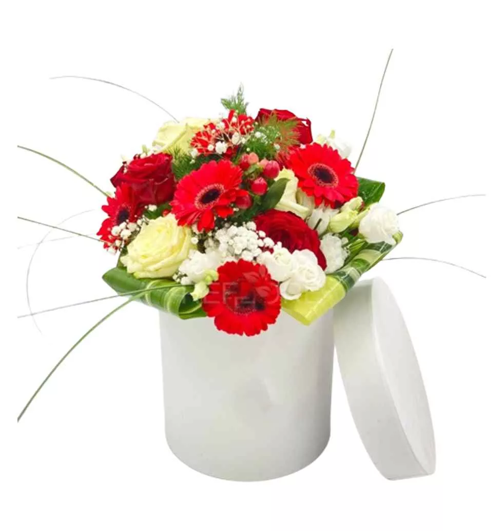 Charming Gerberas & Rose Bouquet