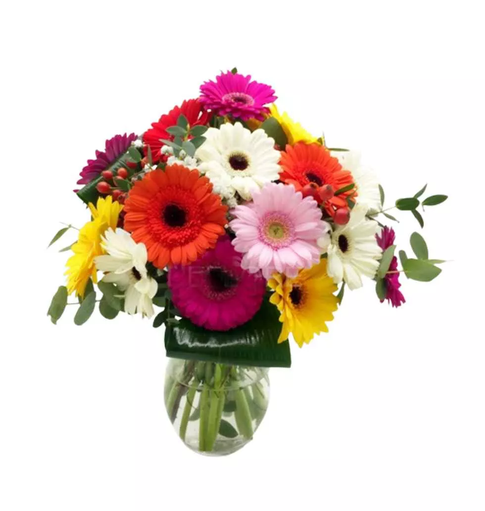 Happy Moments with Colorful Gerbera Bouquet