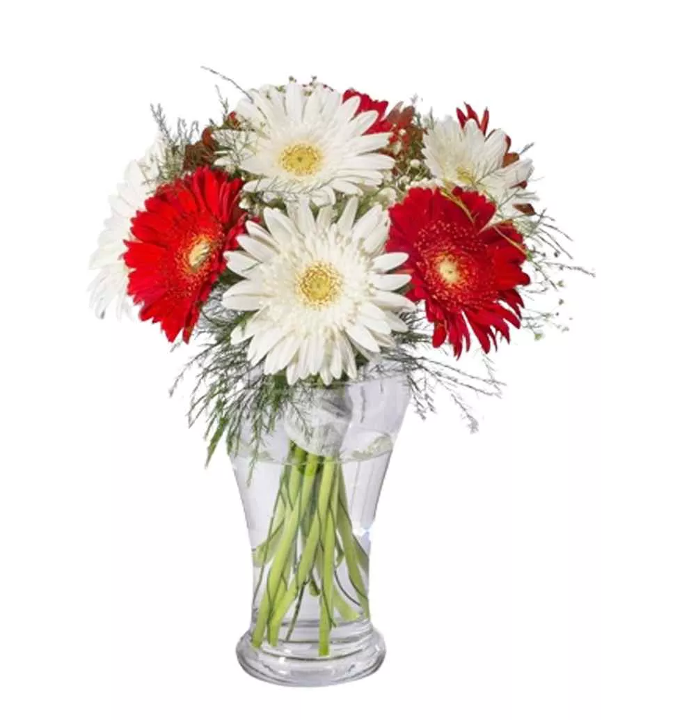 Lively Red and White Floral Burst