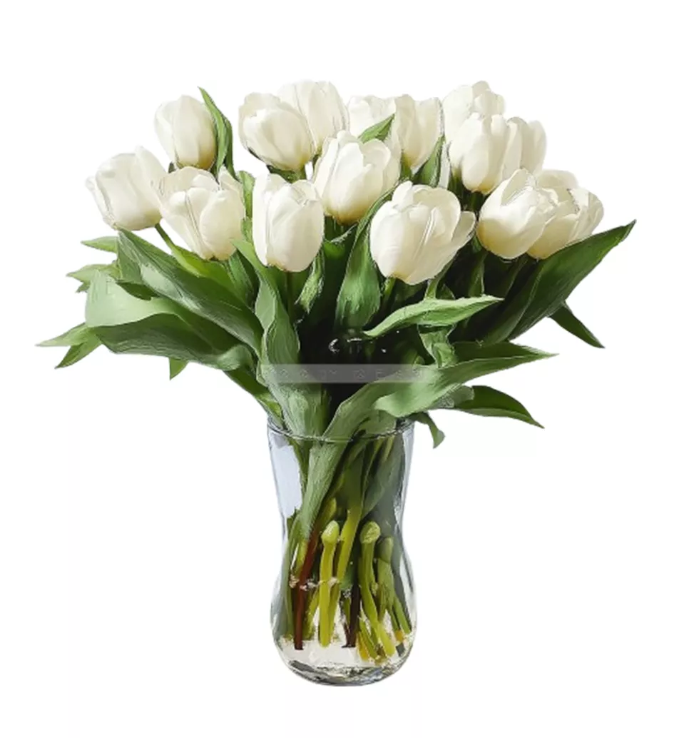 Fresh White Tulip Bouquet