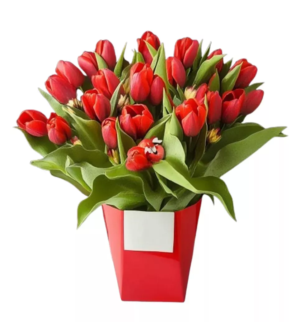 Elegant Fresh Tulip Bouquet in Red