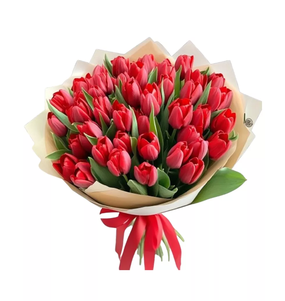 Fresh and Bright: 50 Red Tulips