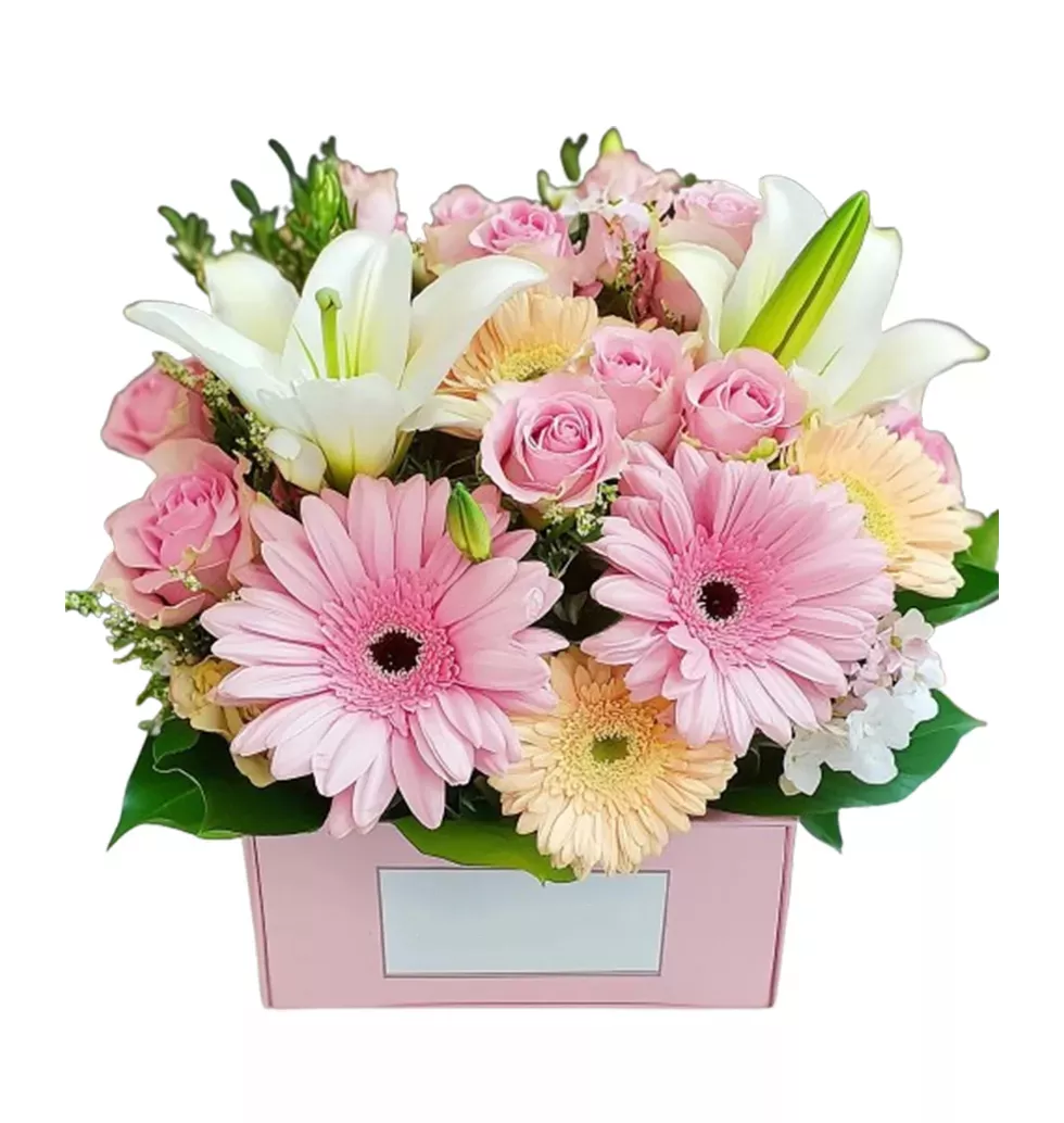 Soft Petals Gift Box