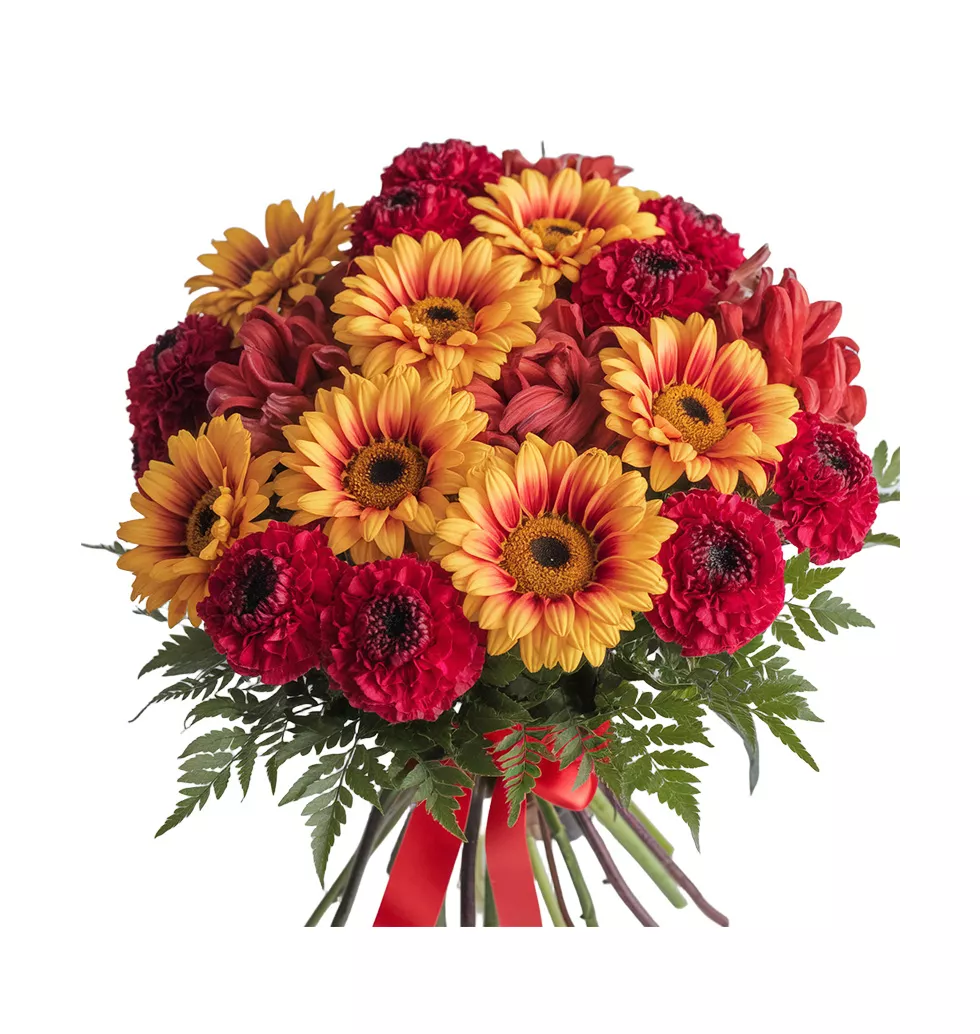 Vibrant Gerberas Bunch